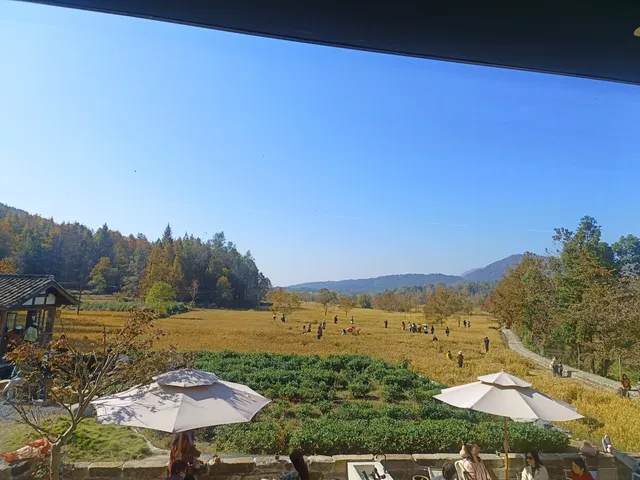 由贛州出發週末遊宏村塔川賞秋保姆級攻略嚟喇