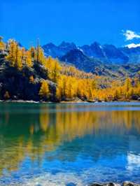 四川黨嶺徒步7日全記錄，秘境穿越指南