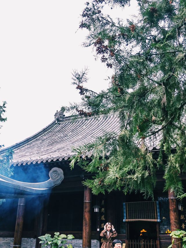 鐘南山下一眼千年的古樹