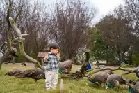 2h直達上海周邊遛娃聖地南通野生動物