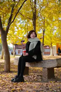 闖入金色童話世界!八都岕銀杏黃了