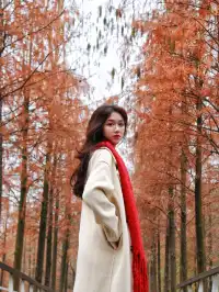 落羽杉紅啦！週末逛個公園也能拍秋日大片！