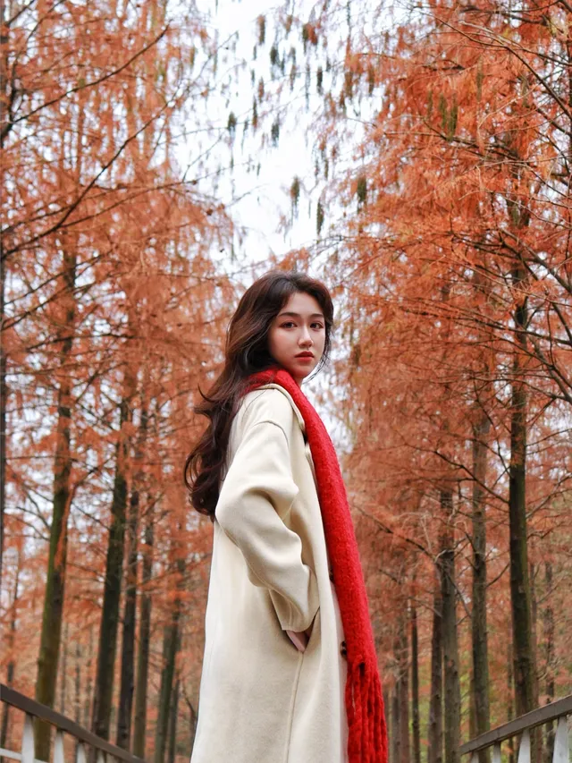 落羽杉紅啦！週末逛個公園也能拍秋日大片！