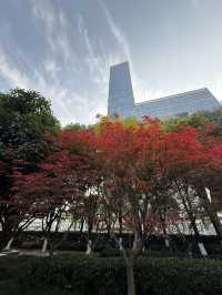 武漢 / 洪山廣場