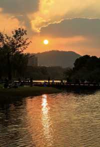 來長沙玩發現的神仙酒店，完全不輸五星級！環境絕美還自帶網紅打卡點，牆裂安利給想躺平度假的姐妹們～ 