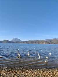 住進觀山海•湖畔，私藏瀘沽湖的山水畫卷
