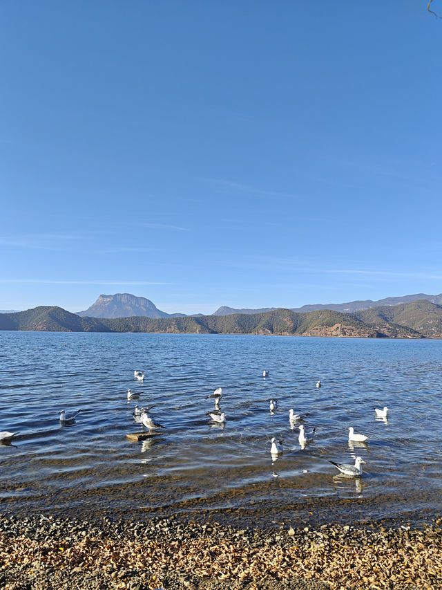 住進觀山海•湖畔，私藏瀘沽湖的山水畫卷