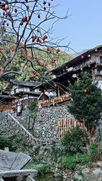 婺源太遠?溫州永嘉林坑村曬秋攻略來啦!