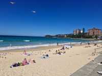 Surfing History with Scenic Views at Manley Ocean Beach