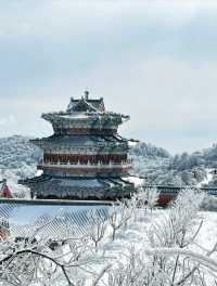 2. 拒絕繞路!張家界國家森林公園+天門山環線,新手也能衝