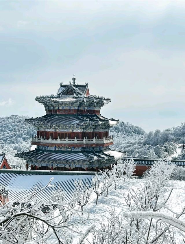 2. 拒絕繞路!張家界國家森林公園+天門山環線,新手也能衝 2. 拒絕繞路!張家界國家森林公園+天門山環線,新手也能衝