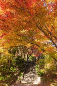 大山崎山莊美術館