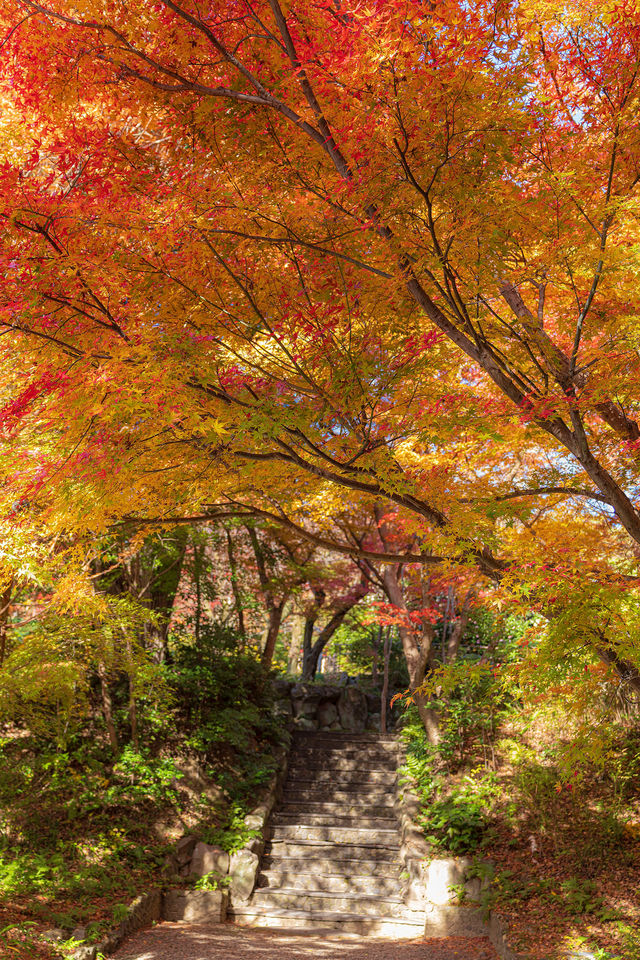 大山崎山莊美術館