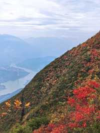 三峽之巔10km紅葉季獎牌get