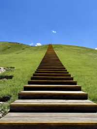 伊犁包車遊真的美到不想走