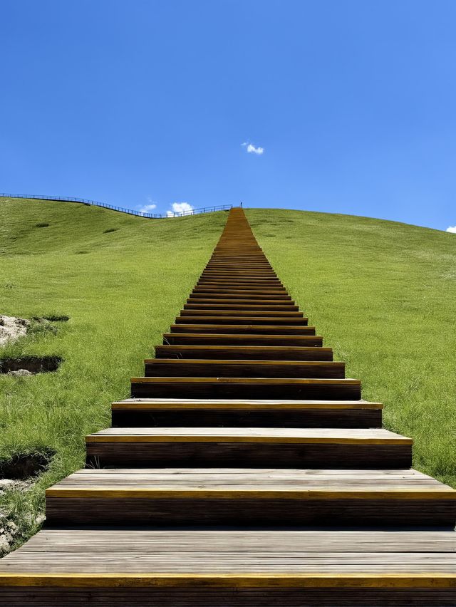 伊犁包車遊真的美到不想走 伊犁包車遊真的美到不想走