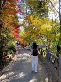 11.29週末plog |杭州小豬線徒步