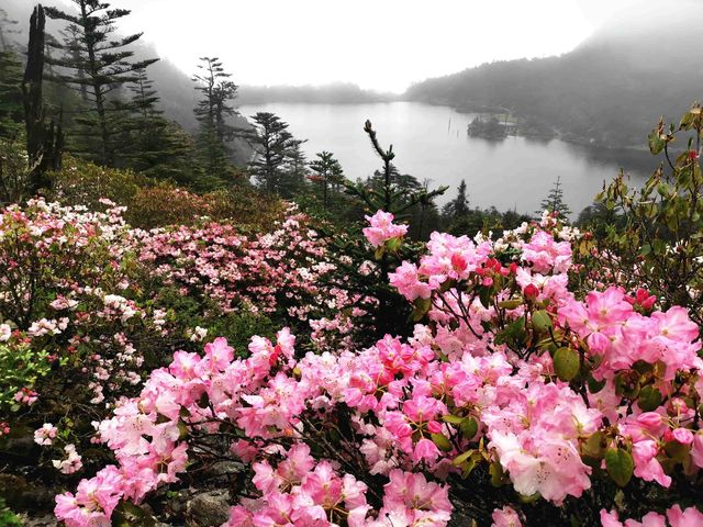 絕了!這座「東方阿爾卑斯」美到窒息雲海日出簡直封神! 絕了!這座「東方阿爾卑斯」美到窒息雲海日出簡直封神!