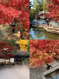 在成都隱藏的江南園林!感受一場盛大的秋天