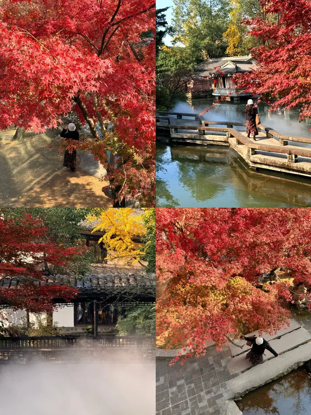 在成都隱藏的江南園林!感受一場盛大的秋天 在成都隱藏的江南園林!感受一場盛大的秋天