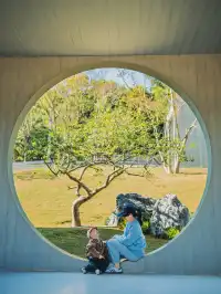 就在深圳超愛的免費寶藏遛娃地，超chill