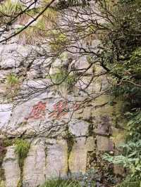 竹林寺∽廬山“空中佛國”！