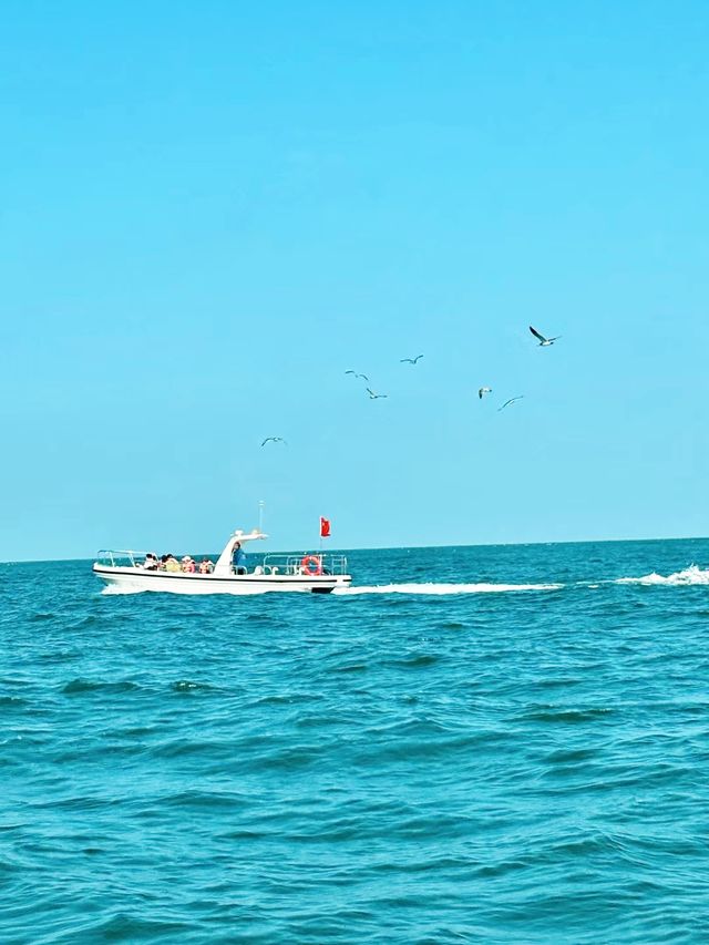 威海團建瘋玩實錄!沙灘作畫+藍海治癒力拉滿 威海團建瘋玩實錄!沙灘作畫+藍海治癒力拉滿