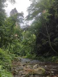 這才是張家界避暑天花板!金鞭溪徒步攻略來了