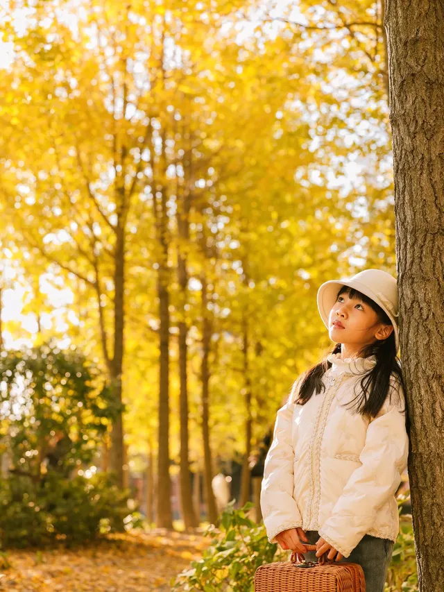 找到了!上海黃得最早的銀杏林免費人少 找到了!上海黃得最早的銀杏林免費人少