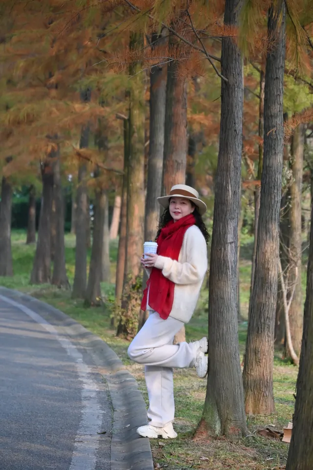 還用去擠白鷺灣?人少景美的水杉秘境! 還用去擠白鷺灣?人少景美的水杉秘境!