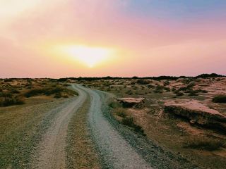 Whispers of the Dunes: A Kanku Desert Odyssey