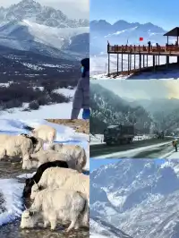 蘭州出發冰雪世界天祝祁連山馬牙雪山