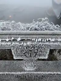 今日（12月4日）峨眉