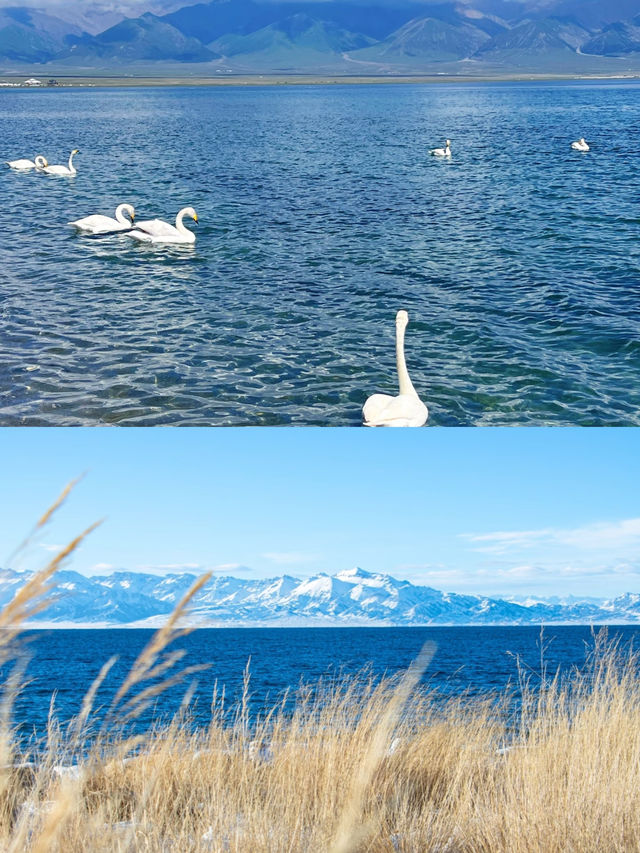 賽里木湖冬天環湖攻略+小建議