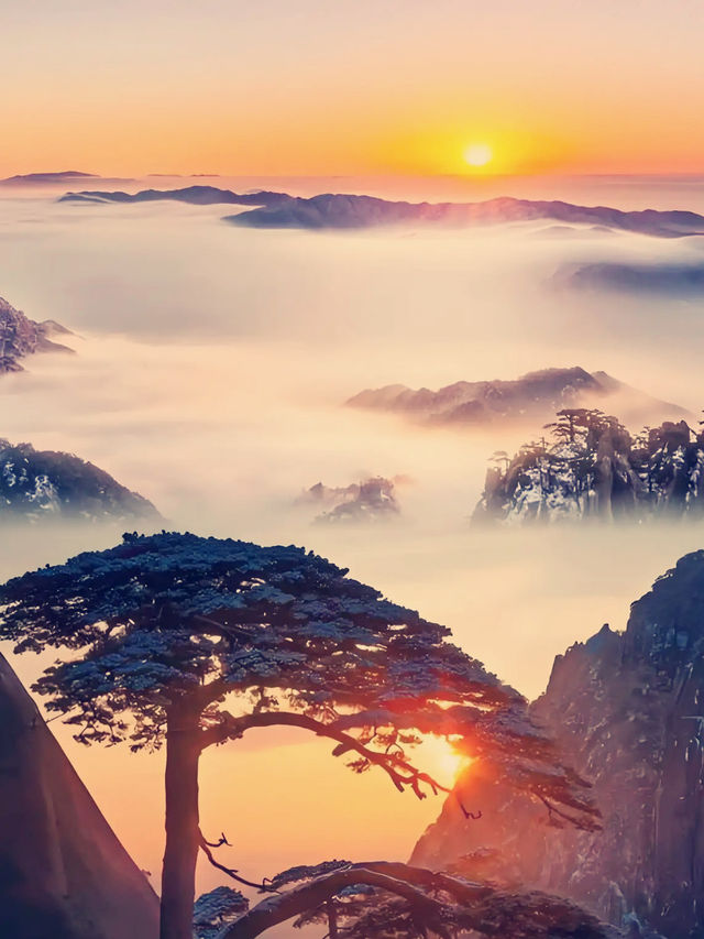 雲海仙境暴走指南黃山1日遊保姆級攻略! 地址:安徽省黃山市黃山區205國道 必去理由 五嶽 雲海仙境暴走指南黃山1日遊保姆級攻略! 地址:安徽省黃山市黃山區205國道 必去理由 五嶽