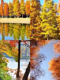 為了這口西昌燒烤，我願意再去100次！