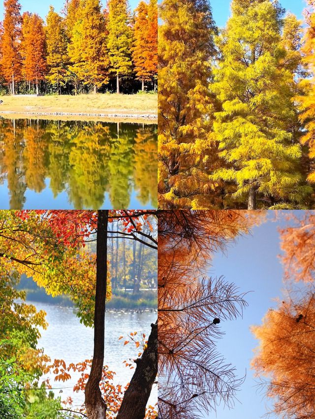 為了這口西昌燒烤，我願意再去100次！