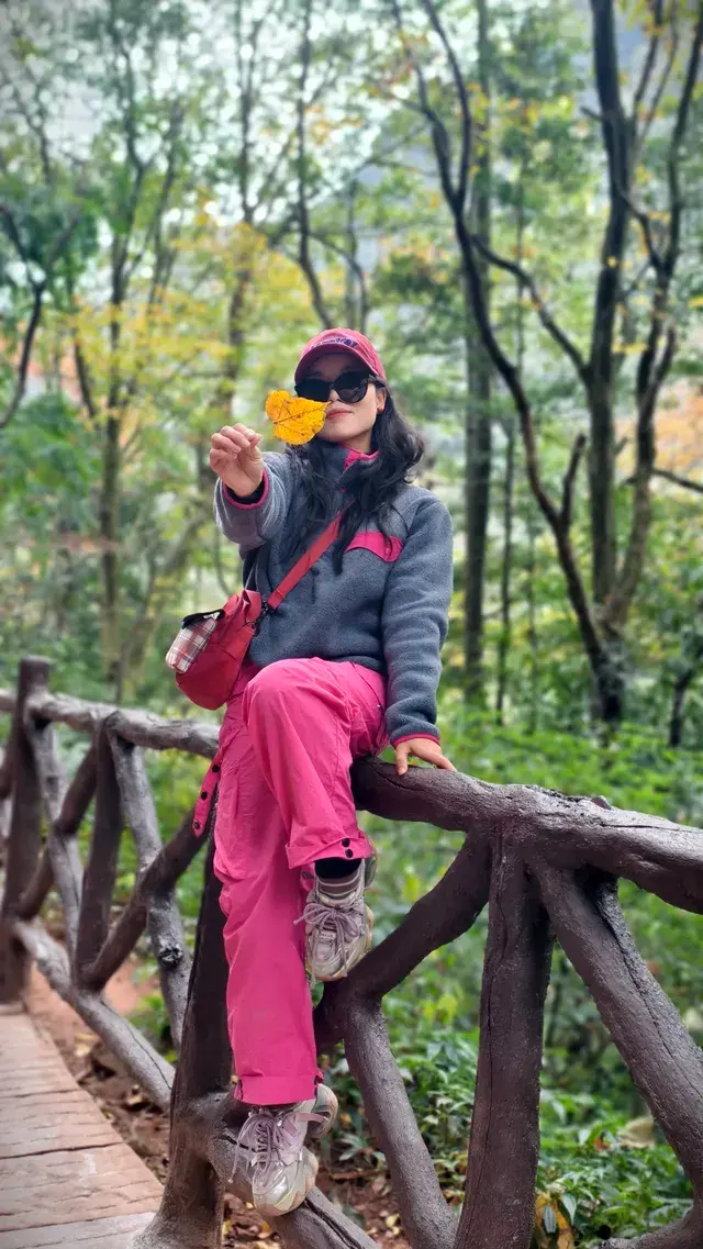 【成都天台山手記|與螢火一起登頂的初夏】 【成都天台山手記|與螢火一起登頂的初夏】