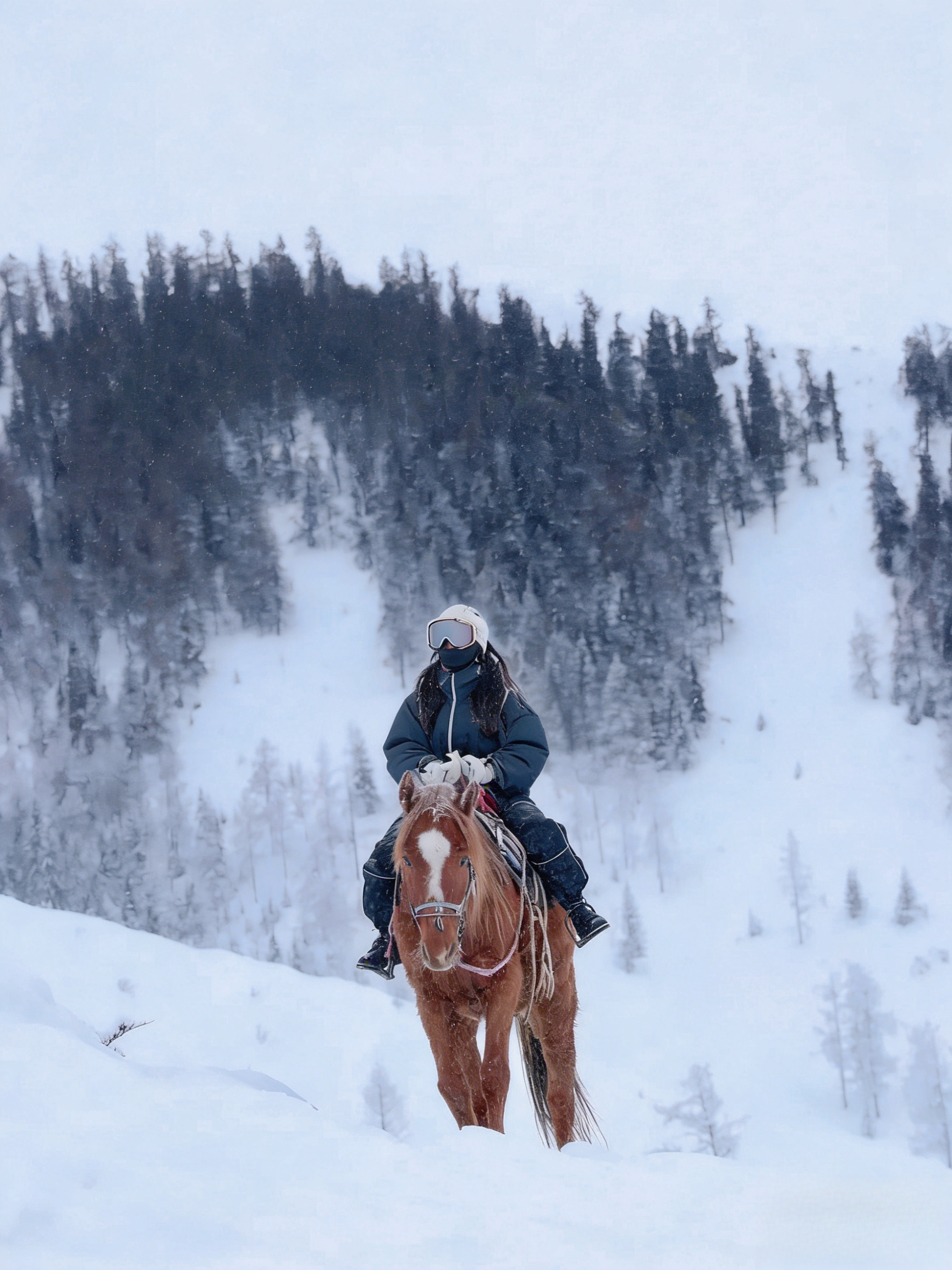  Sisters who want to be children of the grassland, rush here!! 🏇 
✔️ Gallop without reins ✔️ Play in the snow ✔️ Film-level follow shooting 
Snowfield wild riding, life experience is already next level✨ 
· 
📍Fieldhorse Wild Riding Ranch 
Winter fairy tale mode is open for a limited time🏔️! Here, you are not just a tourist, but a dashing "snow knight"🎿 
You can not only enjoy horseback tours and be a dashing "snow knight" for a day, but also unlock Yabuli's rich snow activities❄️, experience the thrill of snowmobiles weaving through snowy forests🌲, or ride a horse-drawn sleigh to feel the original ecological snow fun🛷 
· 
🎯 Experience Highlights 
🐎 Professional horseback experience 
No need to worry if you are a beginner! The Mongolian coach is super patient😄, guiding you hand in hand from getting familiar with the horse to steady trotting, and in five days you can run free without reins～100% safe! 
·
🏔️ Snow adventure carnival 
Besides the thrilling snowmobiles, there’s a long snow tube slide all the way down🛷! Rolling and playing in the snow instantly takes you back to childhood, happiness is simple and direct❄️ 
·
🍲 Warm Northeastern cuisine 
After playing, the aroma of iron pot stew will captivate your soul🔥 
There are also generous Russian kebabs🍖, steaming hot venison hot pot🍲 … in minus 20℃, this bite is salvation💖 
·
📸 Full-process exciting follow shooting 
Drones capture every moment of you galloping on the snowfield, and after playing, you can cuddle a soft and cute little white fox to recharge🦊✨ 
· 
"This winter, don’t just watch the snow, run on the snowfield, and face the wind on horseback! 🐎" 
· 
📌 Address: Yabuli Fieldhorse Wild Riding Ranch 
💡 Tips: Remember to wear bright clothes! Photos in the snow are super photogenic📸 
·