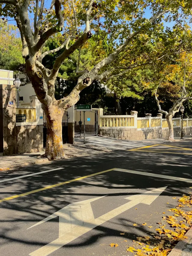 漫遊QingDao|青島八大關 漫遊QingDao|青島八大關