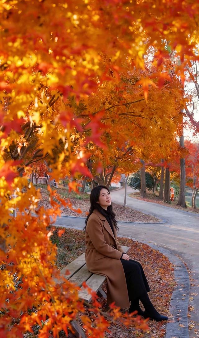 魔都絕美賞秋地!花開海上生態園治癒系深秋大片拍攝攻略 魔都絕美賞秋地!花開海上生態園治癒系深秋大片拍攝攻略