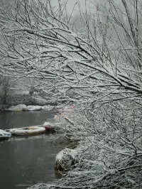 遺憾地錯過了天池,卻遇上了落日雪嶺!