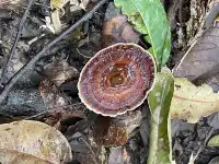 國慶昆明-普洱-景邁山自由行攻略