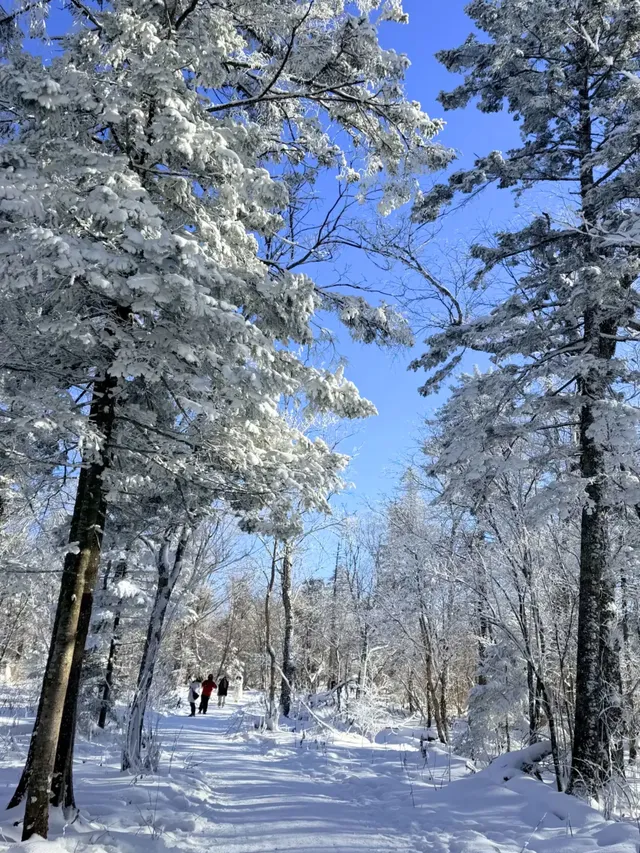 長白山延吉避坑千萬不要亂帶衣服