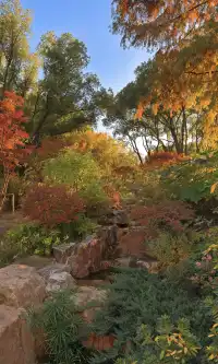 上海市中心兩小時賞秋路線