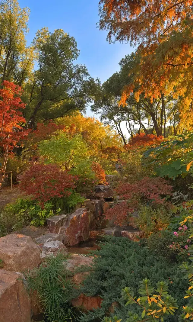 上海市中心兩小時賞秋路線