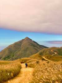 人生建議:11月一定要去看大南山的秋天!