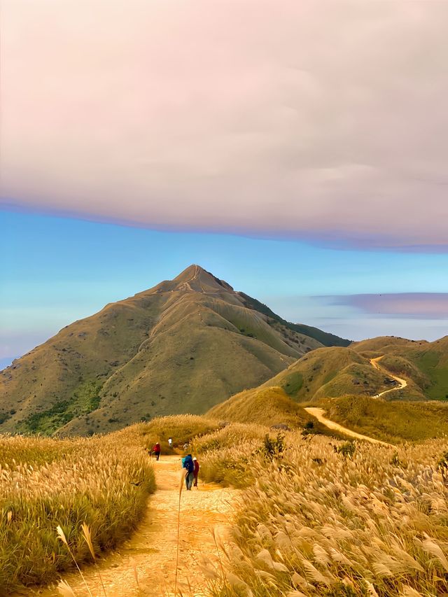 人生建議:11月一定要去看大南山的秋天! 人生建議:11月一定要去看大南山的秋天!