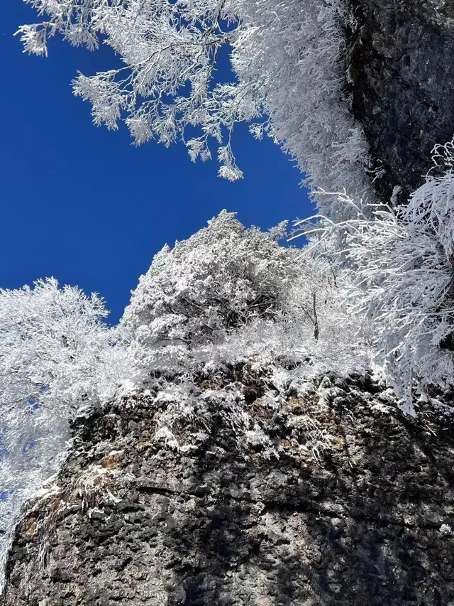 12月淡季去郴州旅遊攻略,趕緊碼住超全 12月淡季去郴州旅遊攻略,趕緊碼住超全