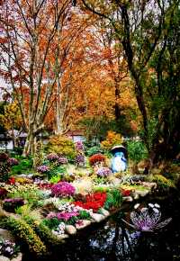 秋日來信,魔都私藏了一座油畫森林!|共青尋色指南